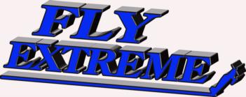 3 Dimensional Fly Extreme - blue rc digital decal